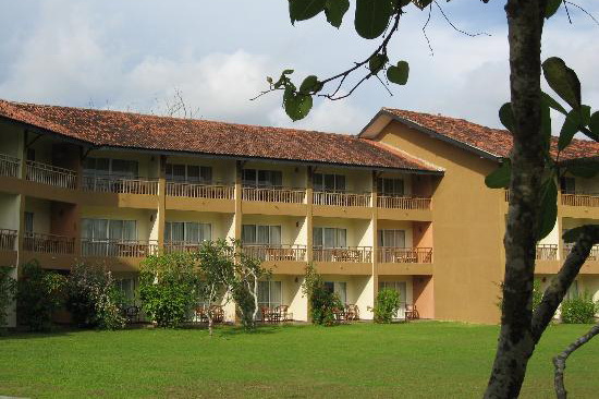 The Palms (��������) 